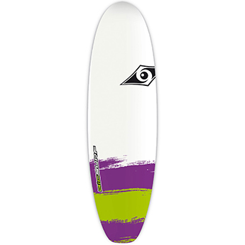 BIC Paint Surfboard